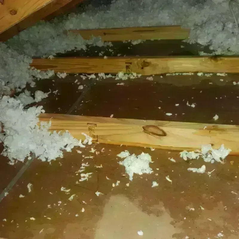 Attic Water Damage in Los Gatos, CA